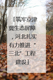 筑牢京津冀生态屏障，河北扎实有力推进“三北”工程建设