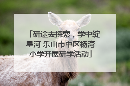 研途去探索，学中绽星河 乐山市中区杨湾小学开展研学活动