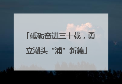 砥砺奋进三十载，勇立潮头“浦”新篇