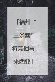 福州“三条簪”将亮相马来西亚