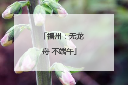 福州：无龙舟 不端午