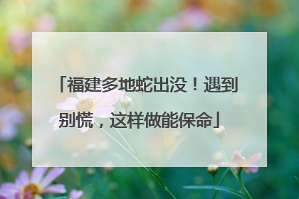 福建多地蛇出没！遇到别慌，这样做能保命