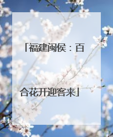 福建闽侯：百合花开迎客来