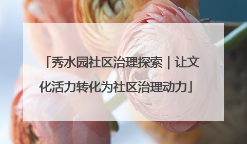 秀水园社区治理探索｜让文化活力转化为社区治理动力