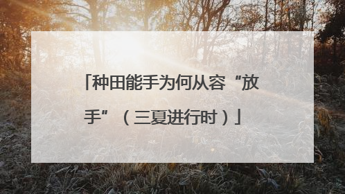 种田能手为何从容“放手”（三夏进行时）