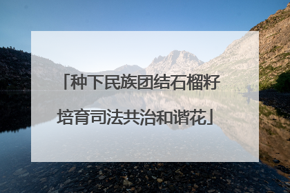 种下民族团结石榴籽 培育司法共治和谐花