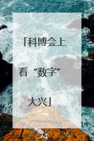 科博会上看“数字”大兴
