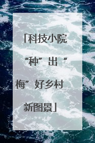 科技小院“种”出“梅”好乡村新图景