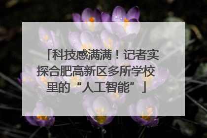 科技感满满！记者实探合肥高新区多所学校里的“人工智能”