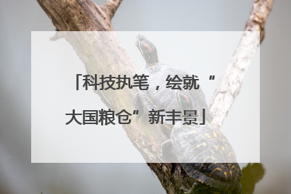 科技执笔，绘就“大国粮仓”新丰景
