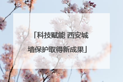 科技赋能 西安城墙保护取得新成果