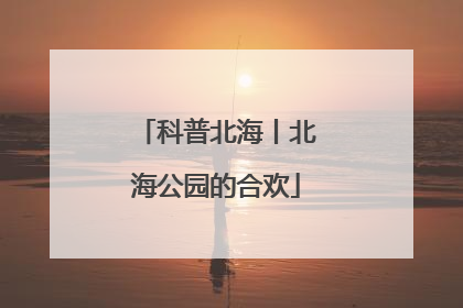 科普北海丨北海公园的合欢