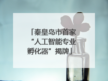 秦皇岛市首家“人工智能专业孵化器”揭牌