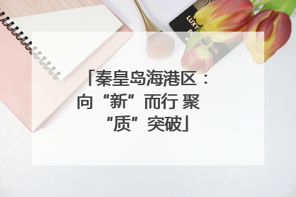 秦皇岛海港区：向“新”而行 聚“质”突破