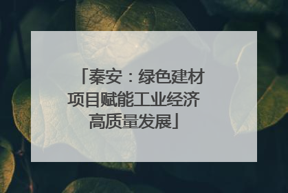 秦安：绿色建材项目赋能工业经济高质量发展