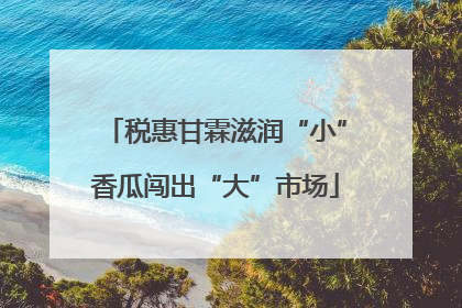 税惠甘霖滋润“小”香瓜闯出“大”市场