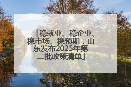 稳就业、稳企业、稳市场、稳预期，山东发布2025年第二批政策清单