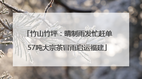 竹山竹坪：晴制雨发忙赶单 57吨大宗茶冒雨启运福建