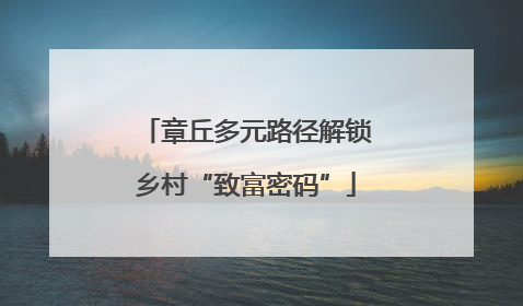 章丘多元路径解锁乡村“致富密码”