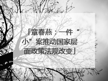 章春燕：一件“小”案推动国家层面政策法规改变