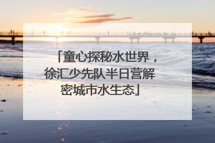童心探秘水世界，徐汇少先队半日营解密城市水生态