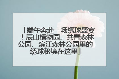 端午奔赴一场绣球盛宴！辰山植物园、共青森林公园、滨江森林公园里的绣球秘境在这里