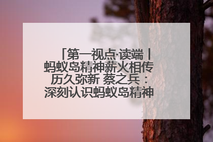 第一视点·读端丨蚂蚁岛精神薪火相传历久弥新 蔡之兵：深刻认识蚂蚁岛精神的“精气神”