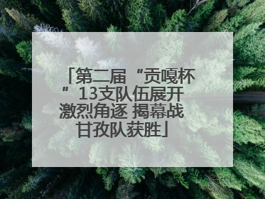第二届“贡嘎杯”13支队伍展开激烈角逐 揭幕战甘孜队获胜