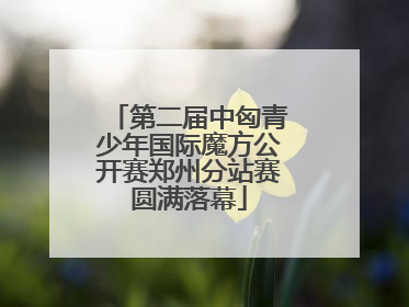 第二届中匈青少年国际魔方公开赛郑州分站赛圆满落幕
