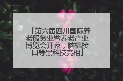 第六届四川国际养老服务业暨养老产业博览会开幕，脑机接口等黑科技亮相