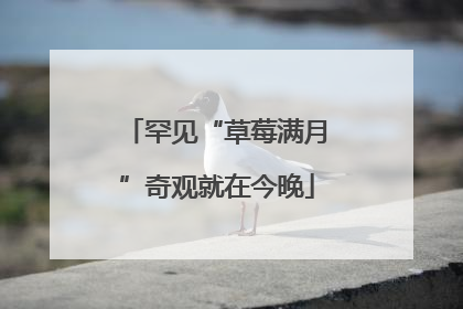 罕见“草莓满月”奇观就在今晚
