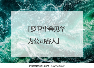 罗卫华会见华为公司客人