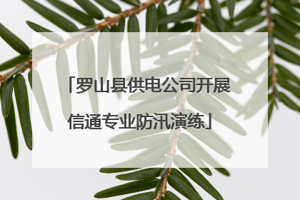 罗山县供电公司开展信通专业防汛演练