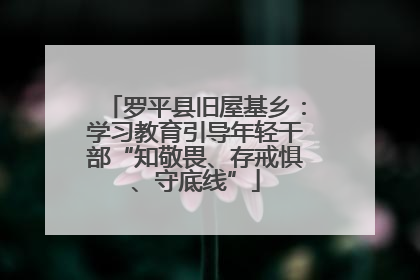 罗平县旧屋基乡：学习教育引导年轻干部“知敬畏、存戒惧、守底线”