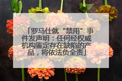 罗马仕就“禁用”事件发声明：任何经权威机构鉴定存在缺陷的产品，将依法负全责