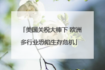 美国关税大棒下 欧洲多行业恐陷生存危机