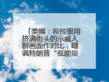美媒：希拉里用挤满街头的示威人群画面作对比，嘲讽特朗普“低能量”阅兵式观众少