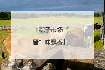粽子市场“晋”味飘香