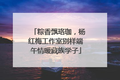 粽香飘珞珈，杨红梅工作室别样端午情暖藏族学子