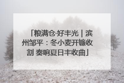 粮满仓·好丰光｜滨州邹平：冬小麦开镰收割 奏响夏日丰收曲