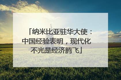 纳米比亚驻华大使：中国经验表明，现代化不光是经济腾飞