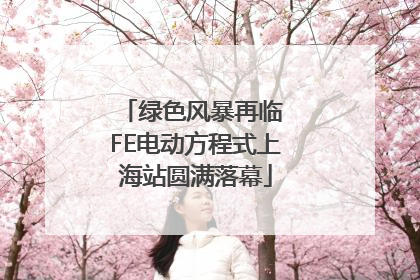 绿色风暴再临 FE电动方程式上海站圆满落幕