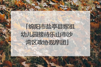 绵阳市盐亭县嫘祖幼儿园接待乐山市沙湾区政协观摩团
