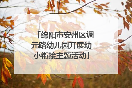 绵阳市安州区调元路幼儿园开展幼小衔接主题活动