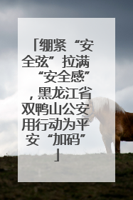 绷紧“安全弦”拉满“安全感”，黑龙江省双鸭山公安用行动为平安“加码”