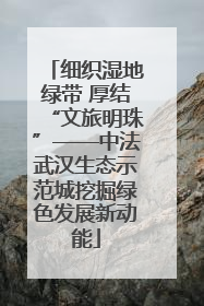 细织湿地绿带 厚结“文旅明珠”——中法武汉生态示范城挖掘绿色发展新动能