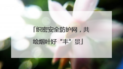 织密安全防护网，共绘烟叶好“丰”景