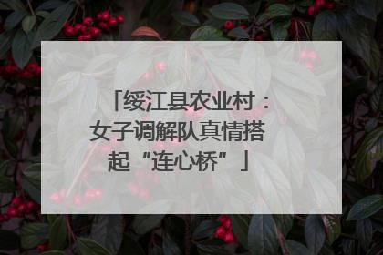 绥江县农业村：女子调解队真情搭起“连心桥”