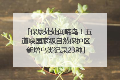保康处处闻啼鸟！五道峡国家级自然保护区新增鸟类记录23种