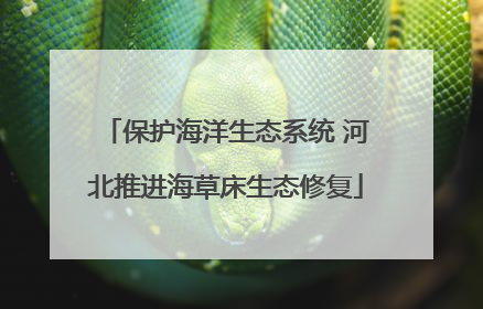 保护海洋生态系统 河北推进海草床生态修复
